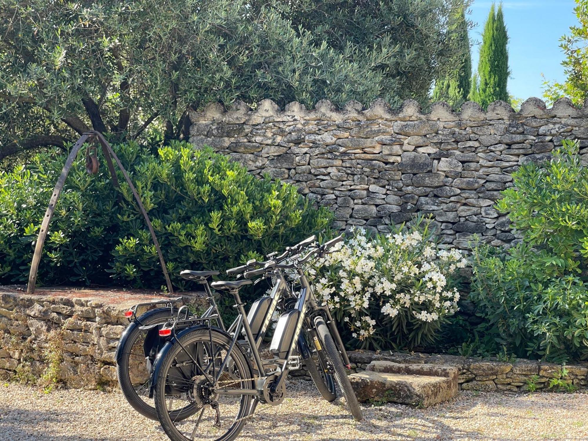 La Villa Baronnette Cabrieres-d'Avignon Exterior photo
