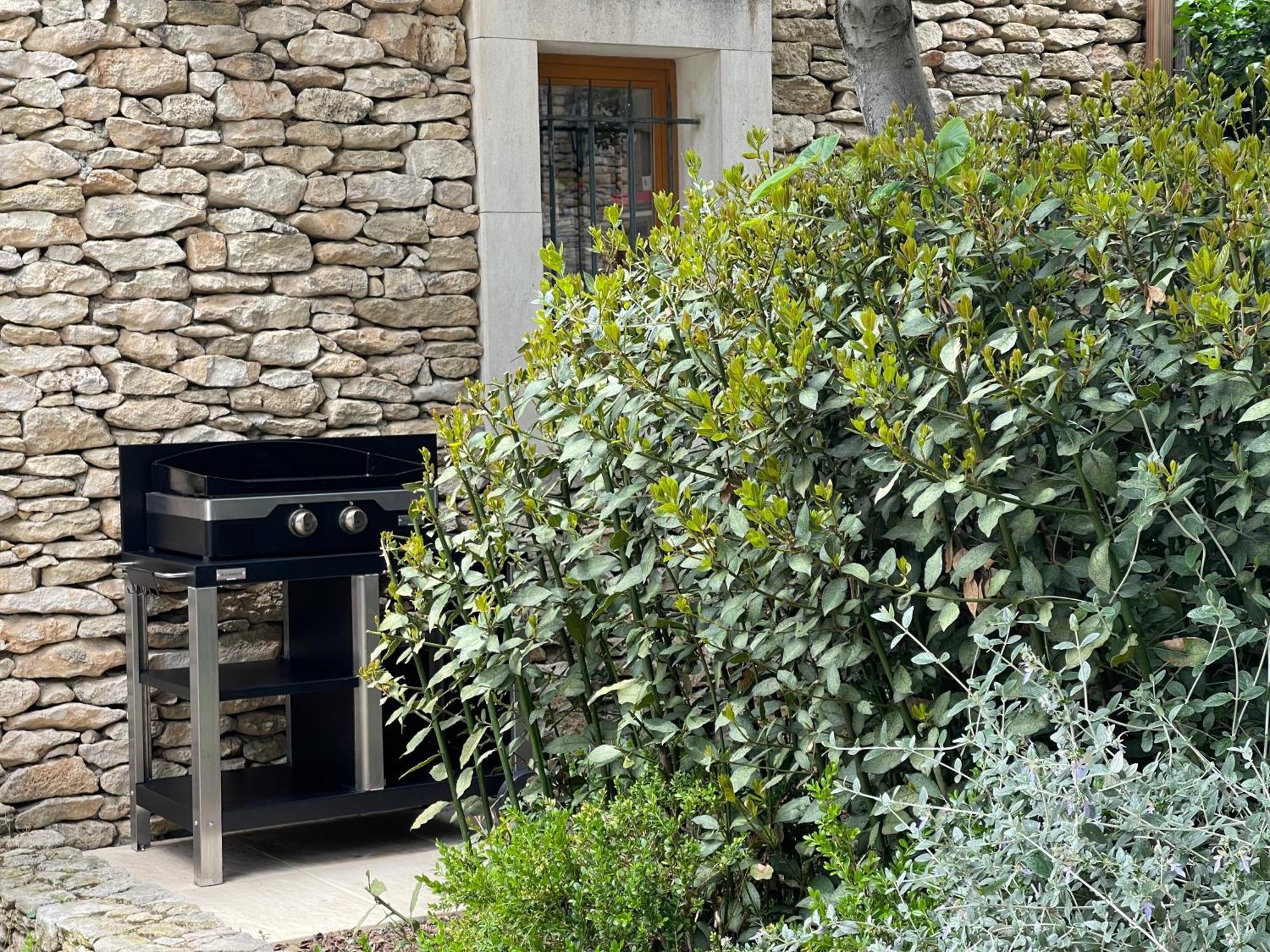 La Villa Baronnette Cabrieres-d'Avignon Exterior photo